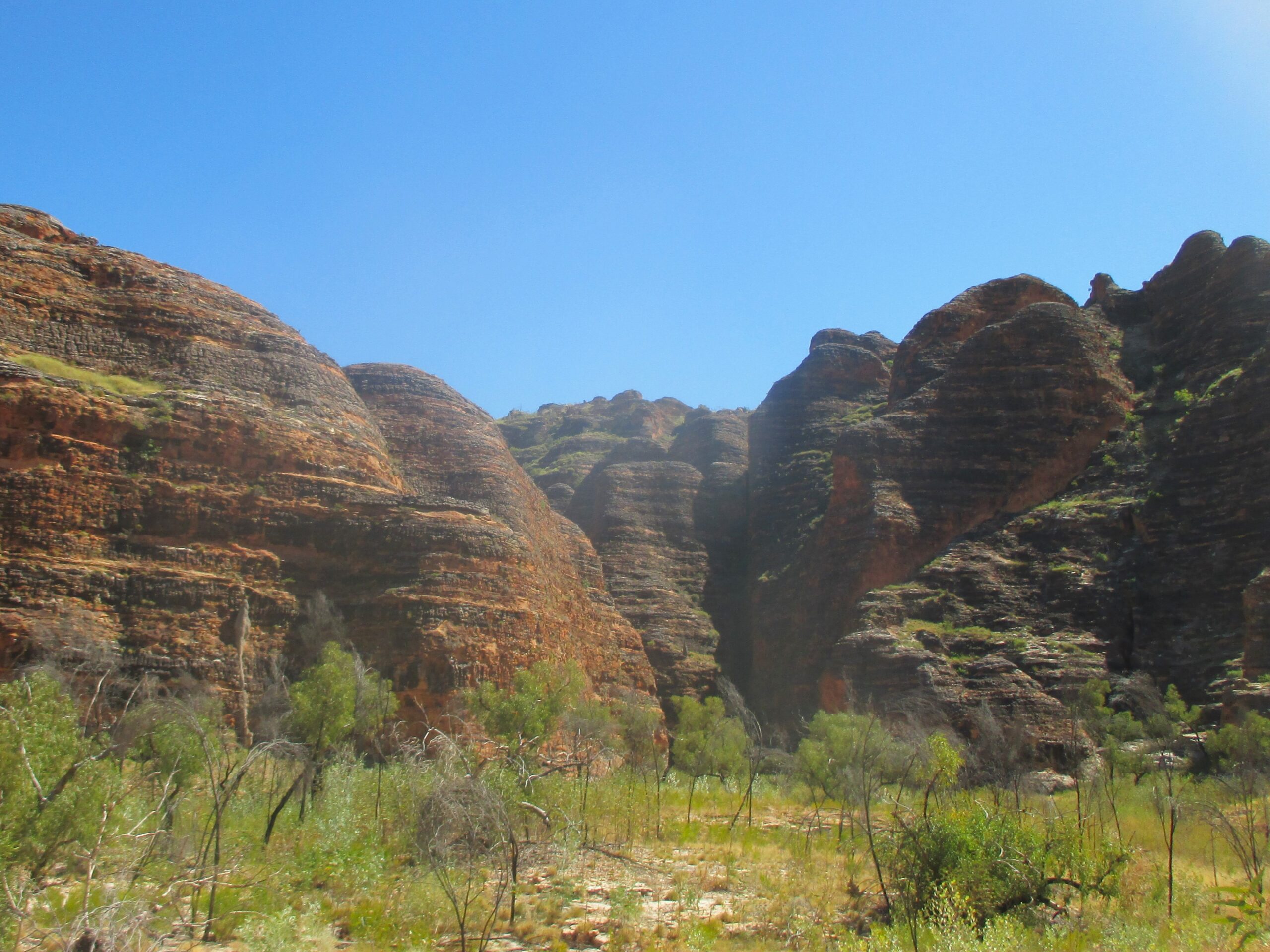 The Bungle Bungles