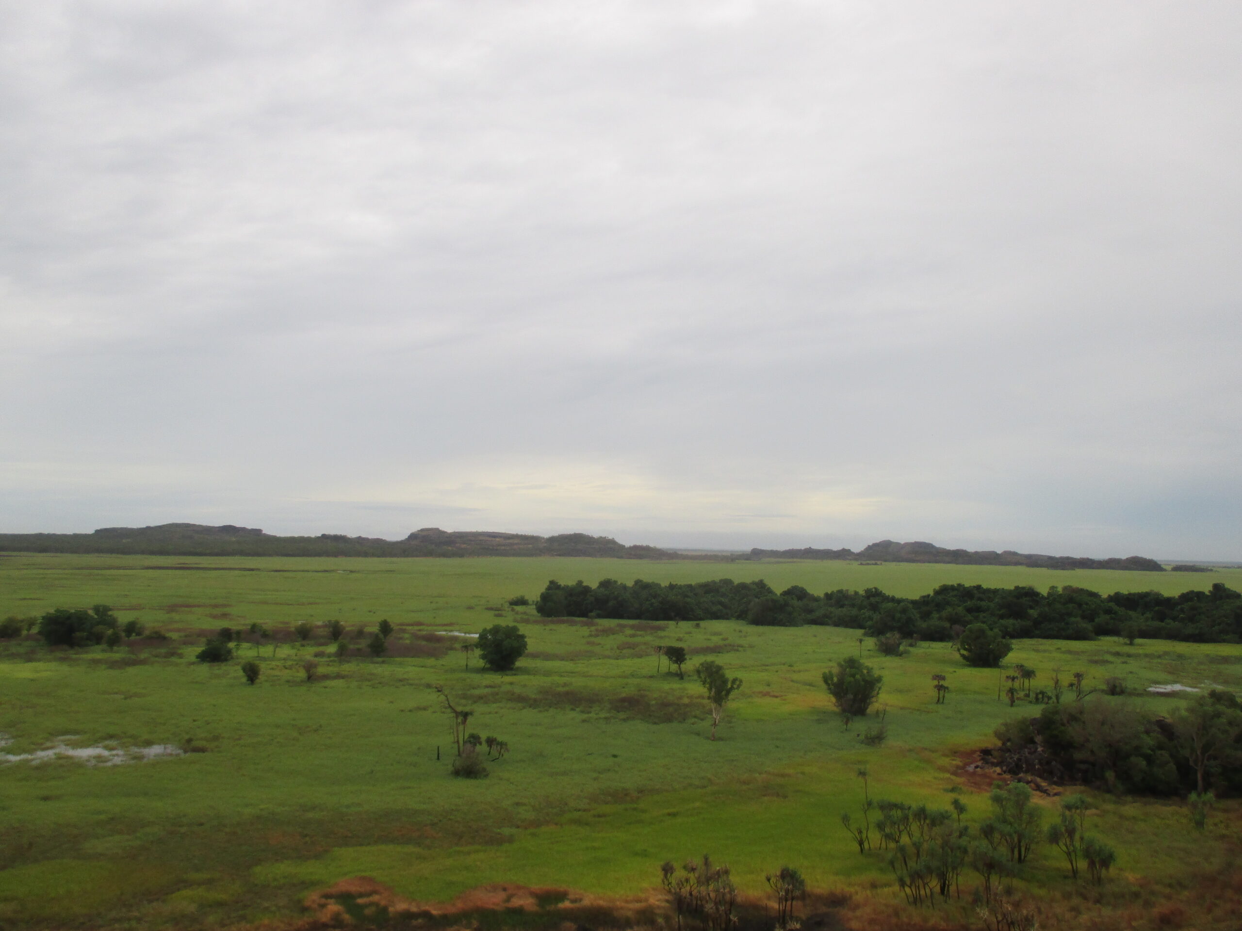 The plains of Kakadu