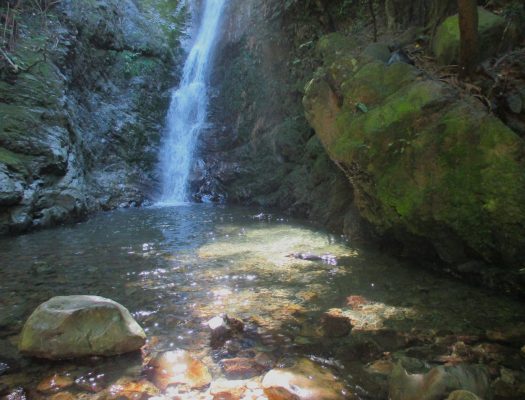 Ohau Falls. Keen-eyes may spot a couple pups