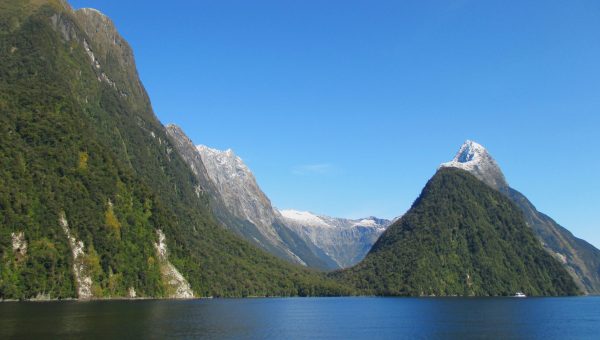 You can take a wildlife cruise, or kayak yourself around